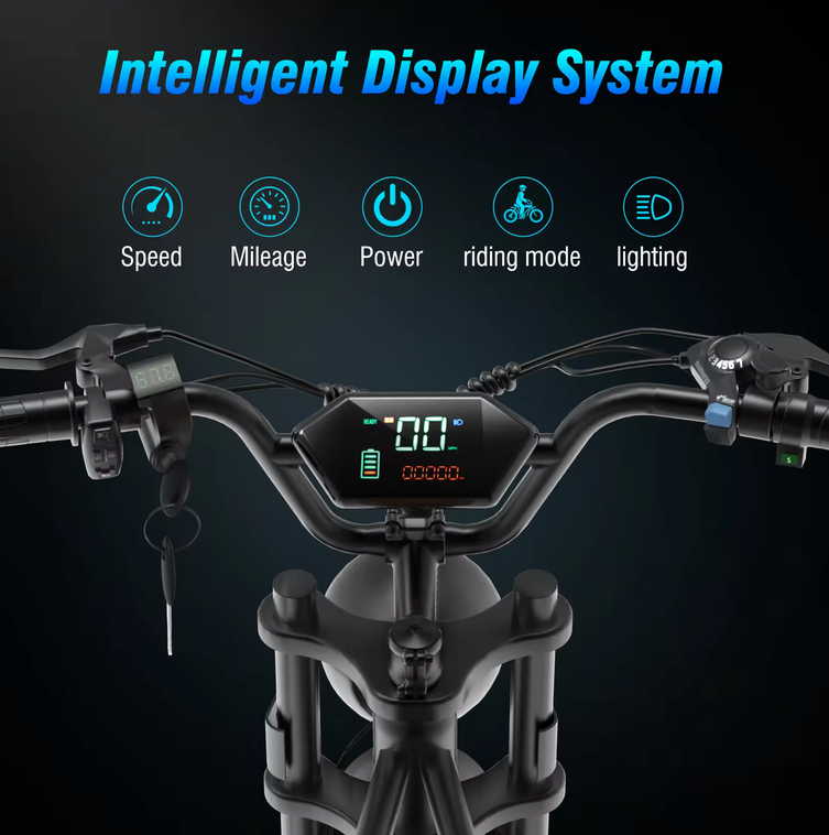 Centurion X1 - eBike - LCD Display
