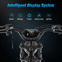 Centurion X1 - eBike - LCD Display