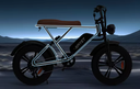 Centurion X1 - eBike - Light Aluminum Frame