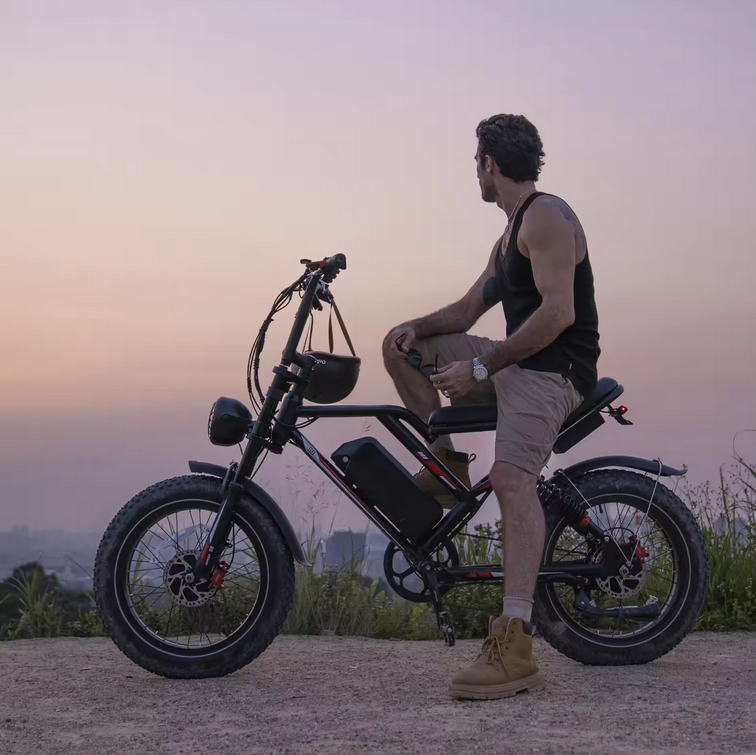 Viking X1 - eBike-use