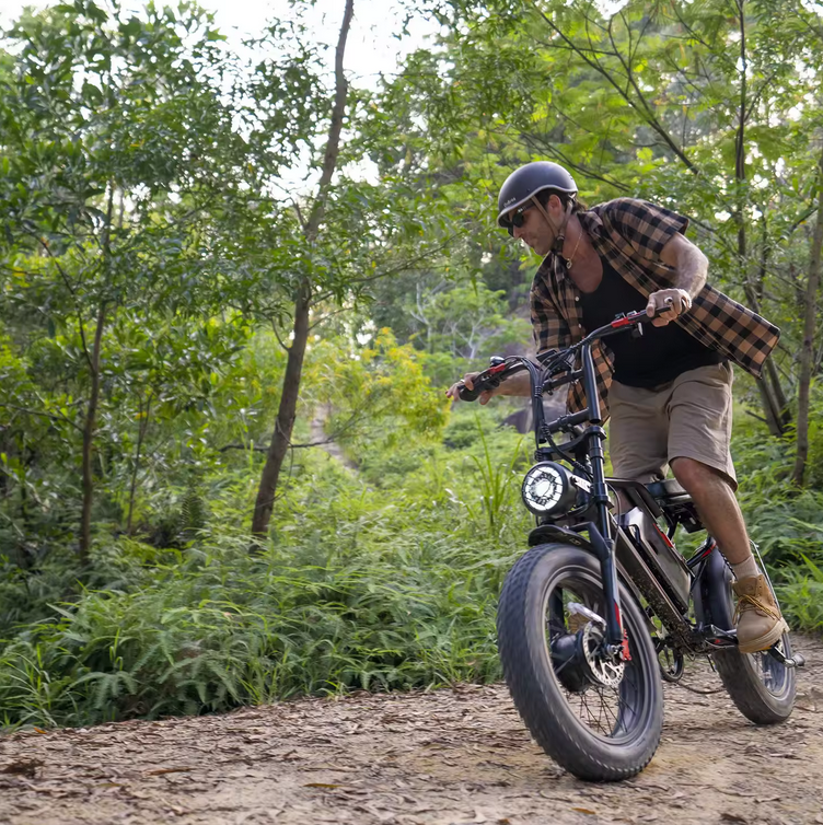 Viking X1 - eBike-sameguy