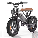 Centurion X1 - eBike